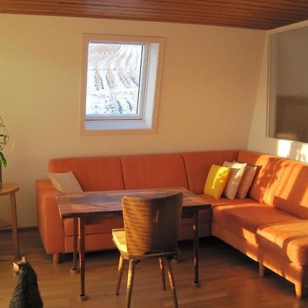 Haus Am Weinberg Lägenhet Erzingen Exteriör bild